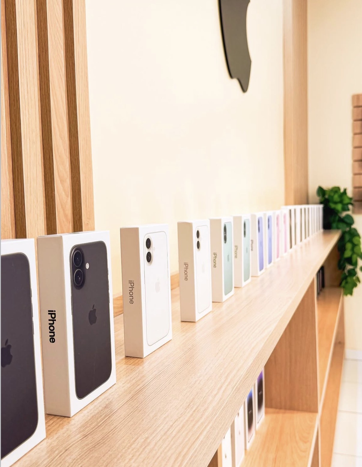 Linha iPhone lacrada